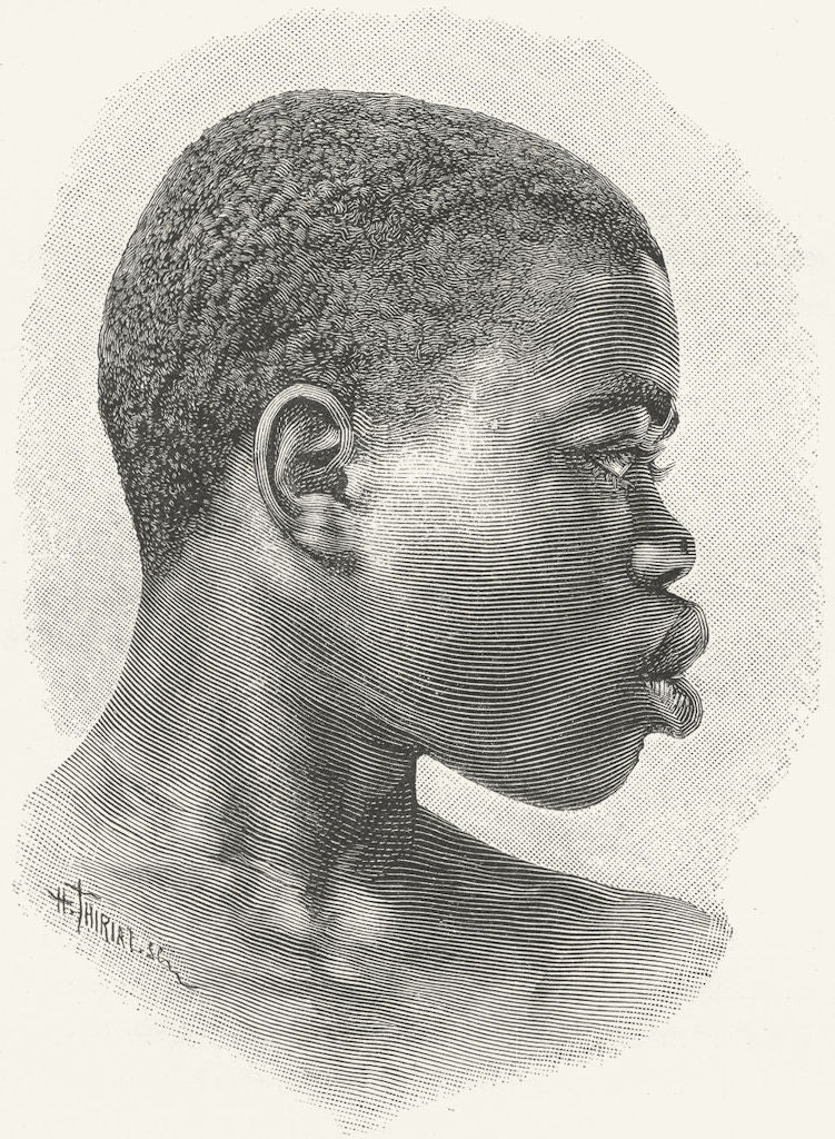 SUDAN. Shilluk Type c1885 old antique vintage print picture